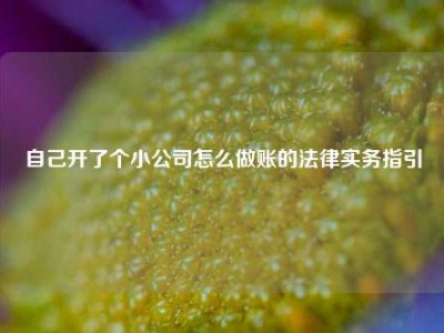 自己开了个小公司怎么做账的法律实务指引