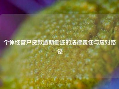 个体经营户贷款逾期偿还的法律责任与应对路径