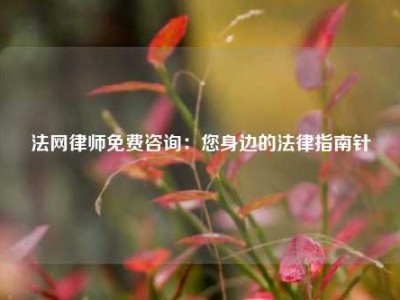法网律师免费咨询：您身边的法律指南针