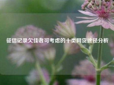 征信记录欠佳者可考虑的十类网贷途径分析