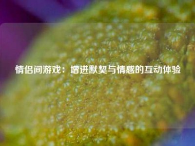 情侣间游戏：增进默契与情感的互动体验