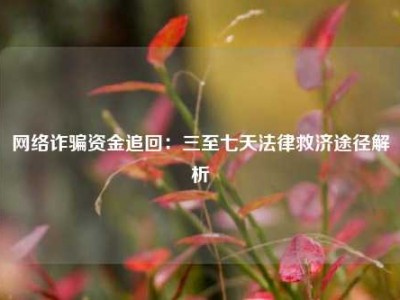 网络诈骗资金追回：三至七天法律救济途径解析