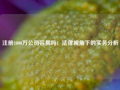 注册1000万公司容易吗：法律视角下的实务分析