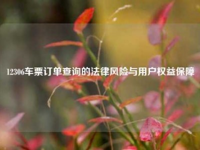 12306车票订单查询的法律风险与用户权益保障