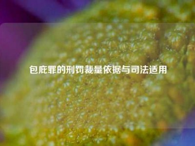 包庇罪的刑罚裁量依据与司法适用