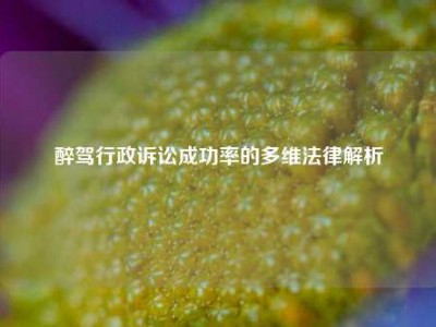 醉驾行政诉讼成功率的多维法律解析