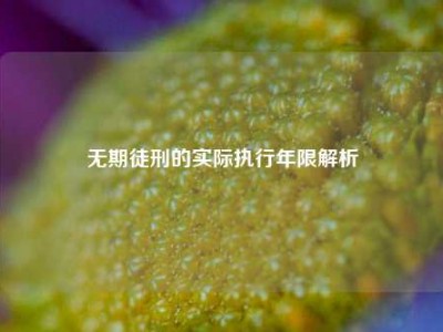 无期徒刑的实际执行年限解析