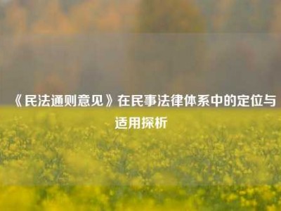 《民法通则意见》在民事法律体系中的定位与适用探析