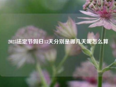 2025法定节假日13天分别是哪几天呢怎么算