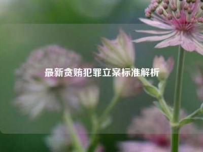 最新贪贿犯罪立案标准解析