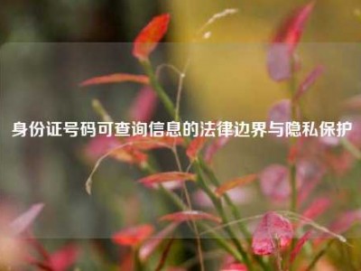 身份证号码可查询信息的法律边界与隐私保护