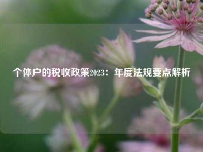 个体户的税收政策2023：年度法规要点解析