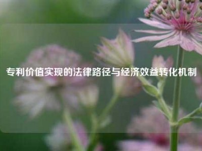 专利价值实现的法律路径与经济效益转化机制