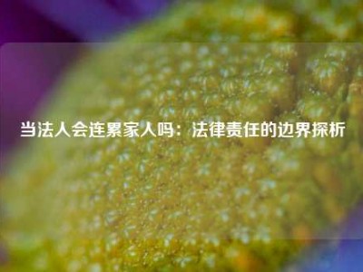 当法人会连累家人吗：法律责任的边界探析