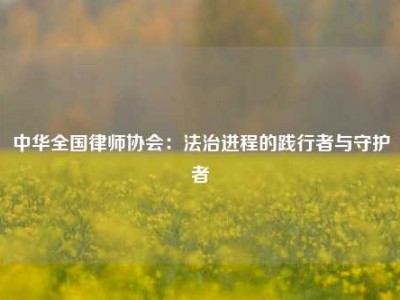 中华全国律师协会：法治进程的践行者与守护者