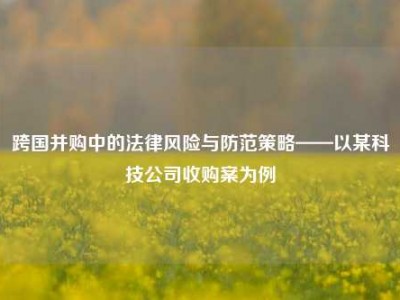 跨国并购中的法律风险与防范策略——以某科技公司收购案为例