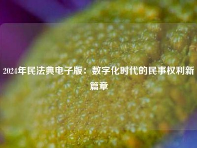 2024年民法典电子版：数字化时代的民事权利新篇章