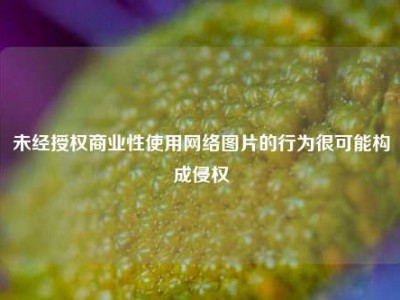 未经授权商业性使用网络图片的行为很可能构成侵权