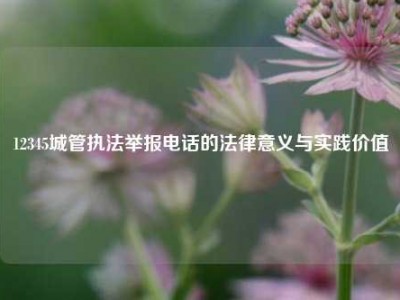 12345城管执法举报电话的法律意义与实践价值