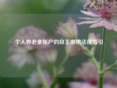 个人养老金账户的自主缴纳法律指引