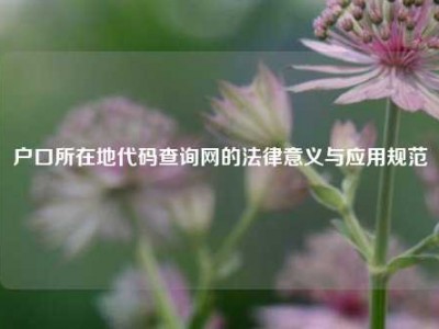 户口所在地代码查询网的法律意义与应用规范