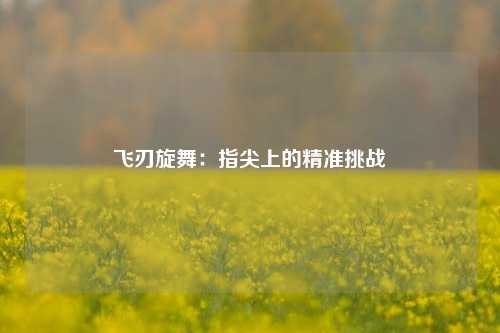 飞刃旋舞：指尖上的精准挑战