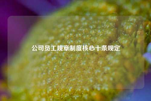 公司员工规章制度核心十条规定