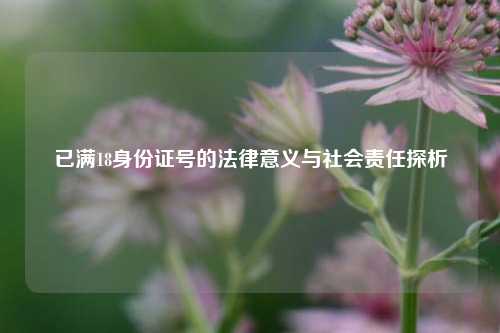 已满18身份证号的法律意义与社会责任探析
