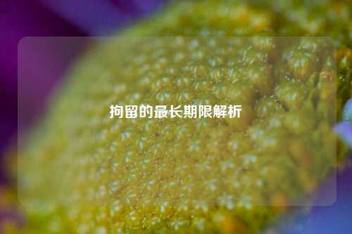 拘留的最长期限解析