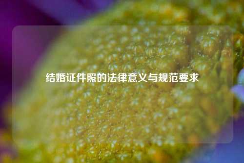 结婚证件照的法律意义与规范要求