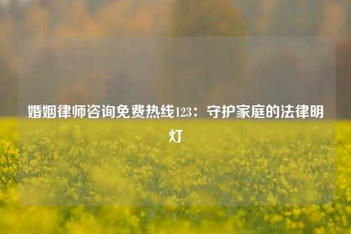 婚姻律师咨询免费热线123：守护家庭的法律明灯