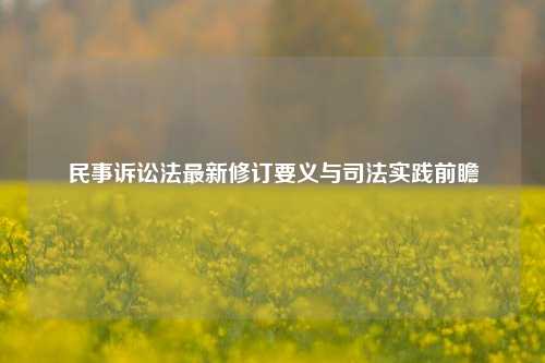 民事诉讼法最新修订要义与司法实践前瞻