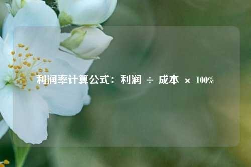 利润率计算公式:利润 ÷ 成本 × 100%