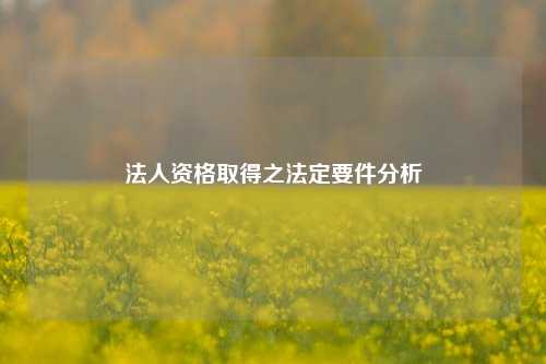 法人资格取得之法定要件分析
