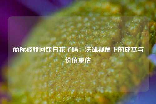 商标被驳回钱白花了吗:法律视角下的成本与价值重估