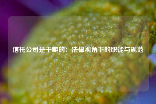 信托公司是干嘛的：法律视角下的职能与规范